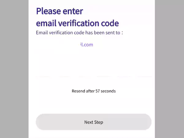 fill in the Verification code